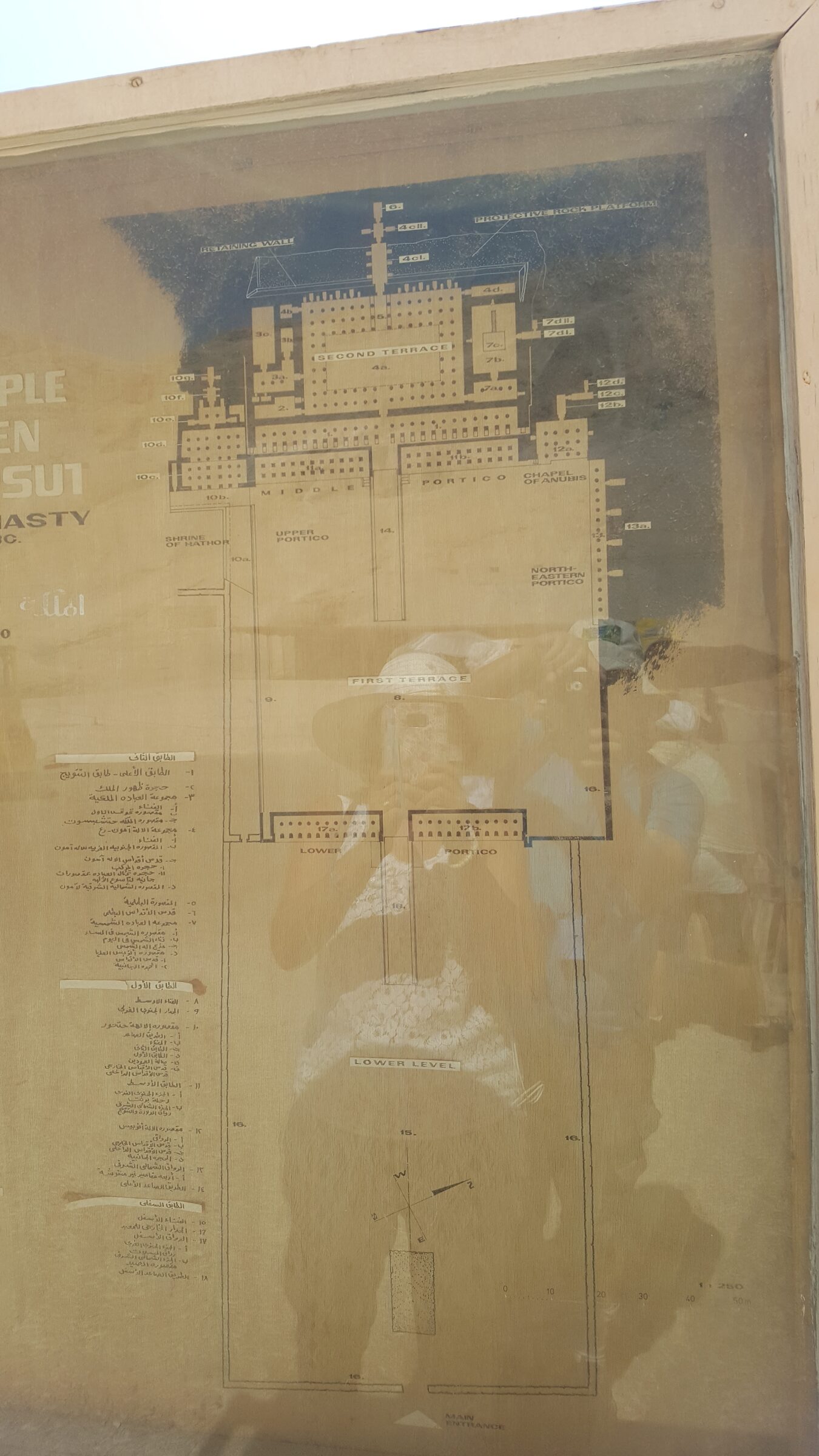 A wider view of Hatshepsut's mortuary temple set against the Theban cliffs