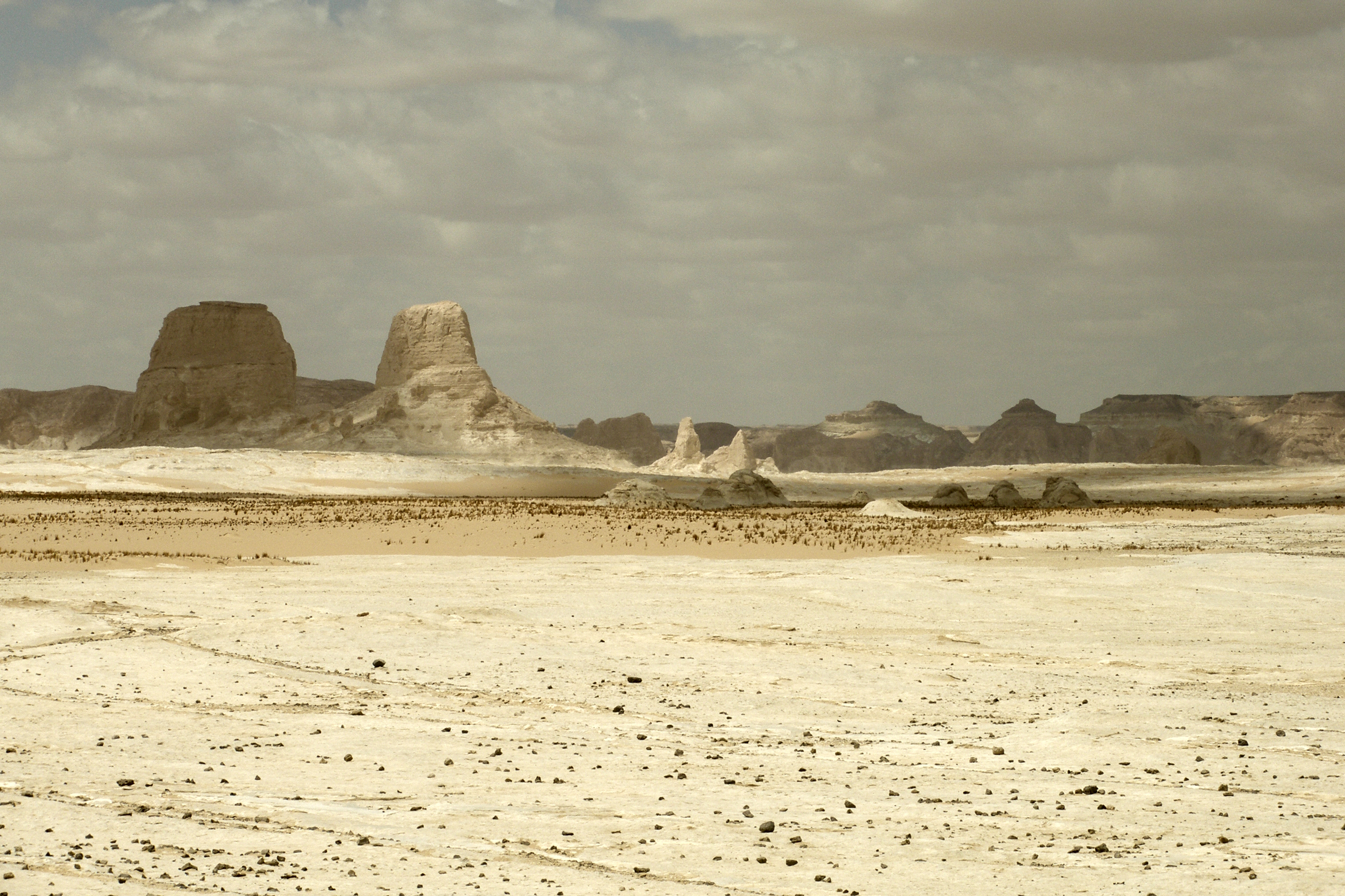 White Desert & Bahariya