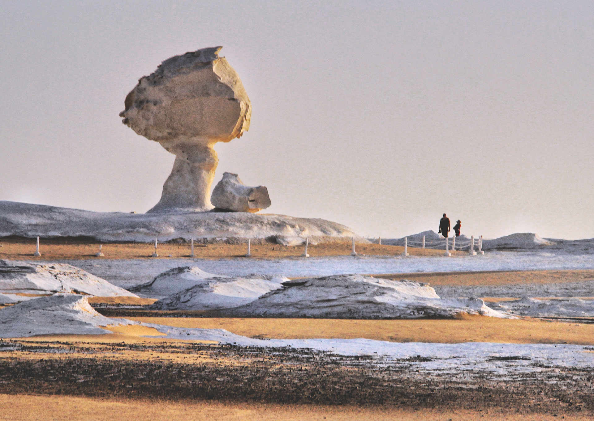 White Desert & Bahariya