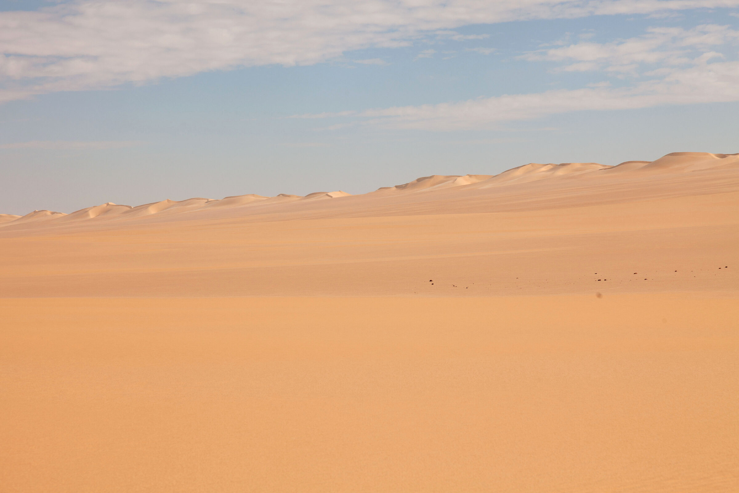 The Great Sand Sea stretching west of Siwa