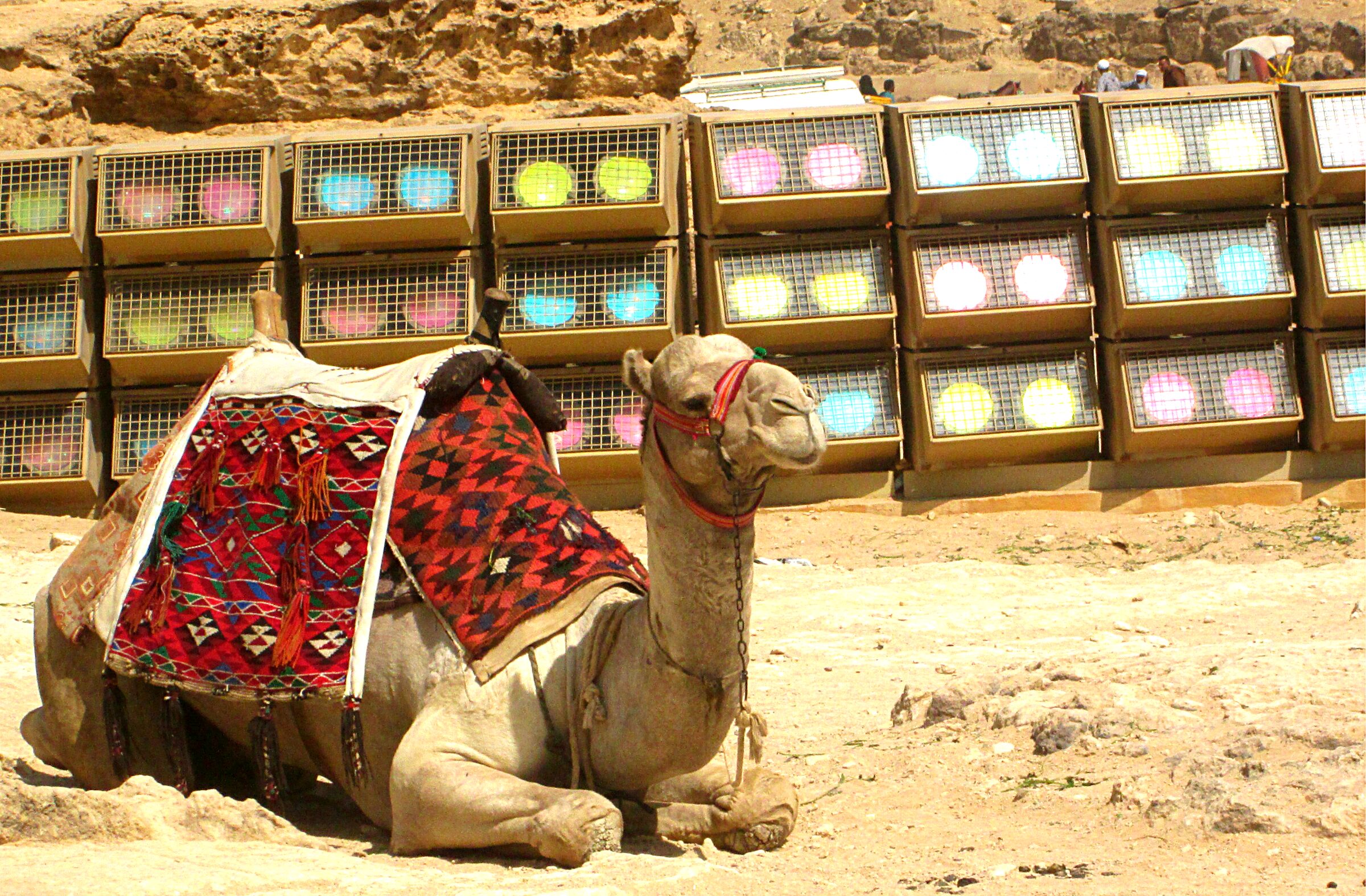 Egypt with children — what works in practice.
