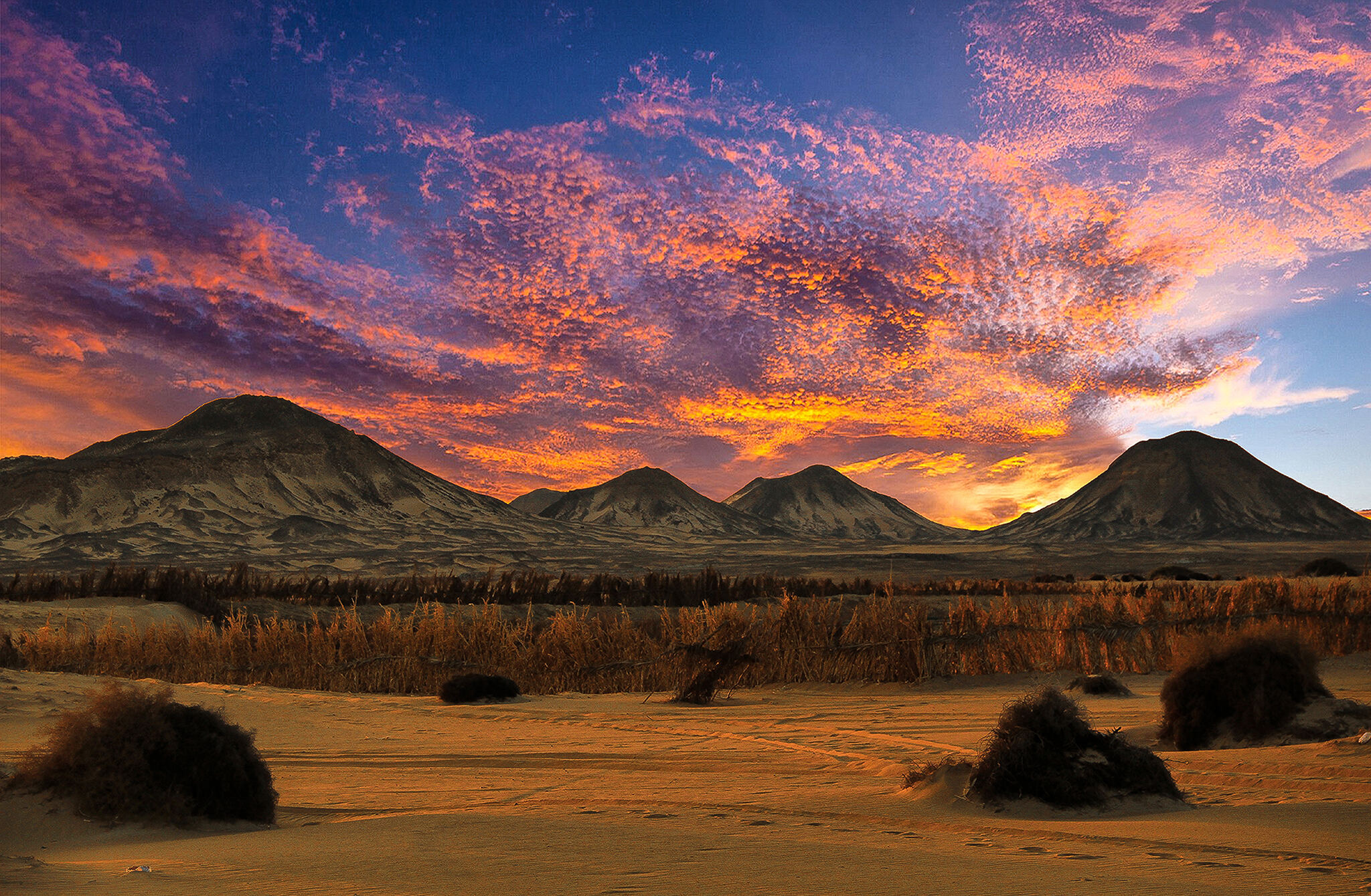 The Silent Desert