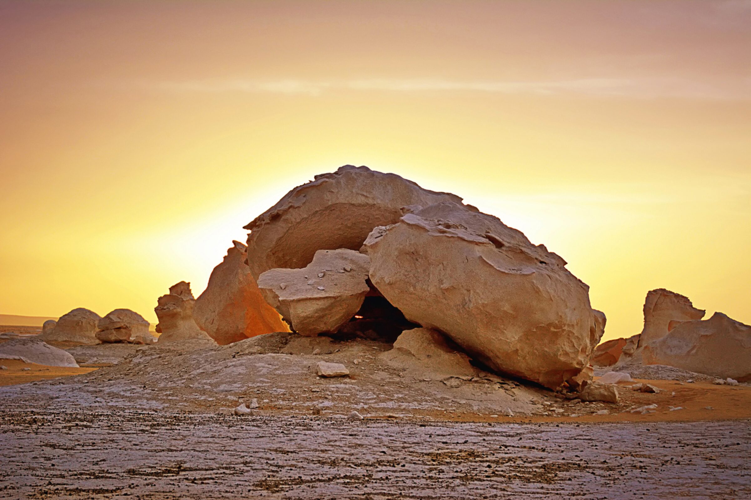 The Silent Desert
